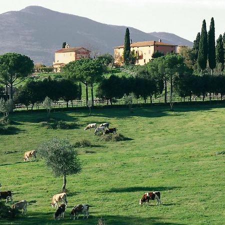 Poggiovalle Tenuta Italiana Belvedere  外观 照片